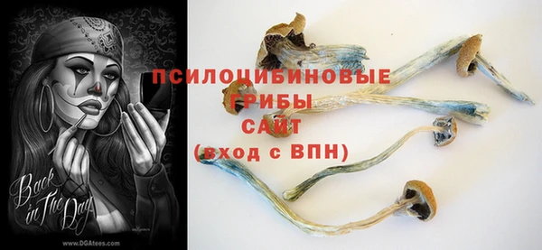 бутират Алексин