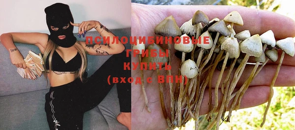 кокс Алзамай