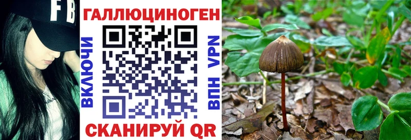 Псилоцибиновые грибы Magic Shrooms  mega зеркало  Игарка  купить  